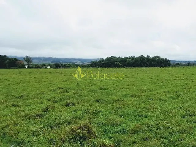 Chácara com 20000m², à venda, no bairro Cruz Pequena em Pindamonhangaba