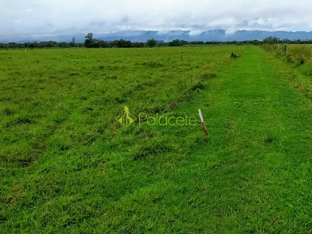 Chácara com 20000m², à venda, no bairro Cruz Pequena em Pindamonhangaba