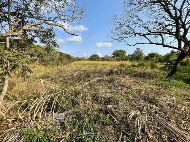 Chácara com 15000m² 4 quartos e 5 banheiros, à venda ou para alugar, no bairro Chácaras Rurais de Guararema em Jacareí