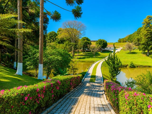 Chácara com 145000m² 4 quartos e 6 banheiros, à venda, no bairro Jardim Florestal em Campo Largo