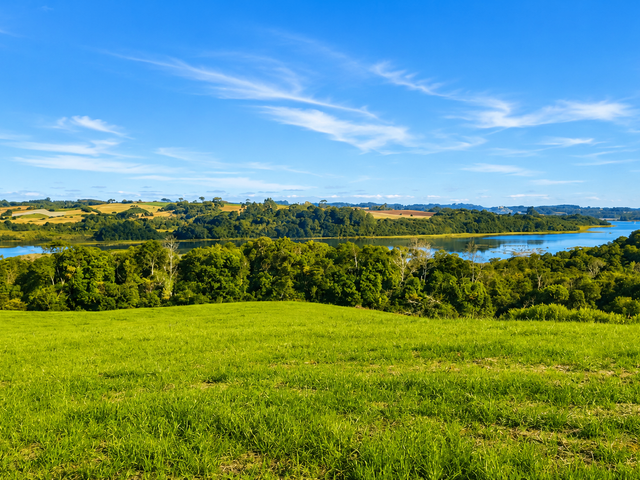 Chácara com 193600m², à venda, no bairro Rondinha em Campo Largo
