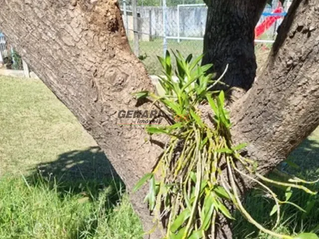 Chácara com 1036m² 1 quarto e 1 banheiro, à venda, no bairro Colinas de Indaiatuba em Indaiatuba