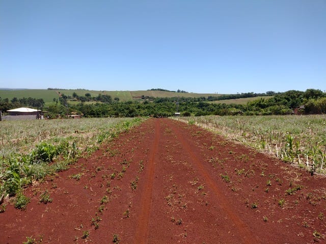 Foto do Chácara - Chácara à venda 1000M², Warta, Londrina - PR | Londrina Cred Imóveis