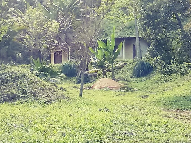 Chácara com 26000m² 2 quartos e 1 banheiro, à venda, no bairro Bairro dos Oliveiras em Pindamonhangaba
