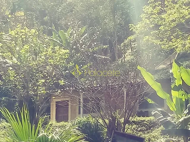 Chácara com 26000m² 2 quartos e 1 banheiro, à venda, no bairro Campinas em Pindamonhangaba