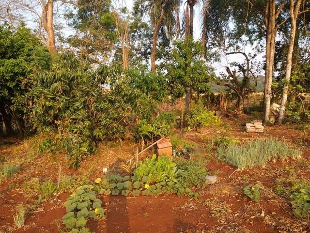 Foto do Chácara - Chácara à venda 3000M², Não informado, Bairro Limoeiro (Londrina) - PR | Londrina Cred Imóveis