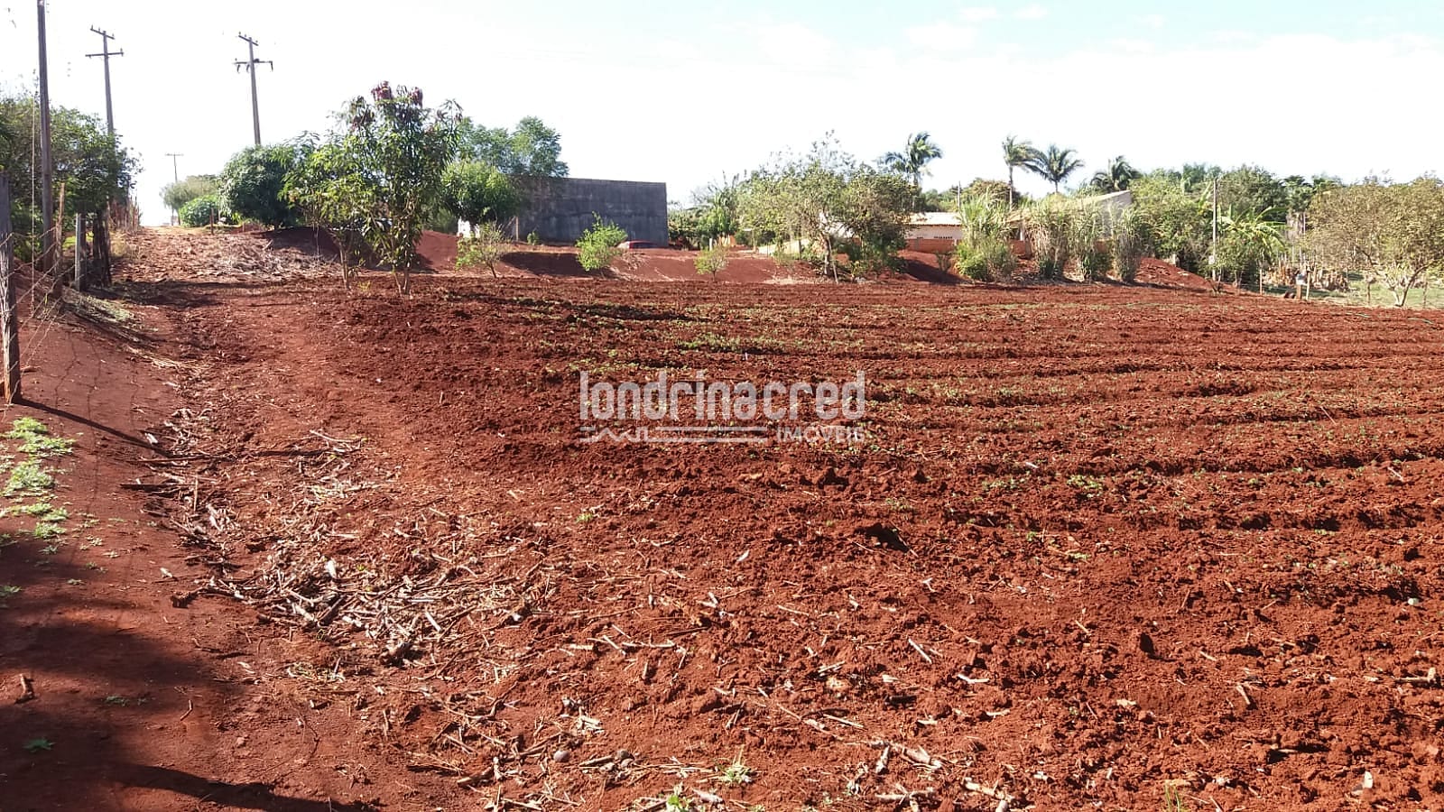 Sítio, 1 quarto, 5800 m² - Foto 7