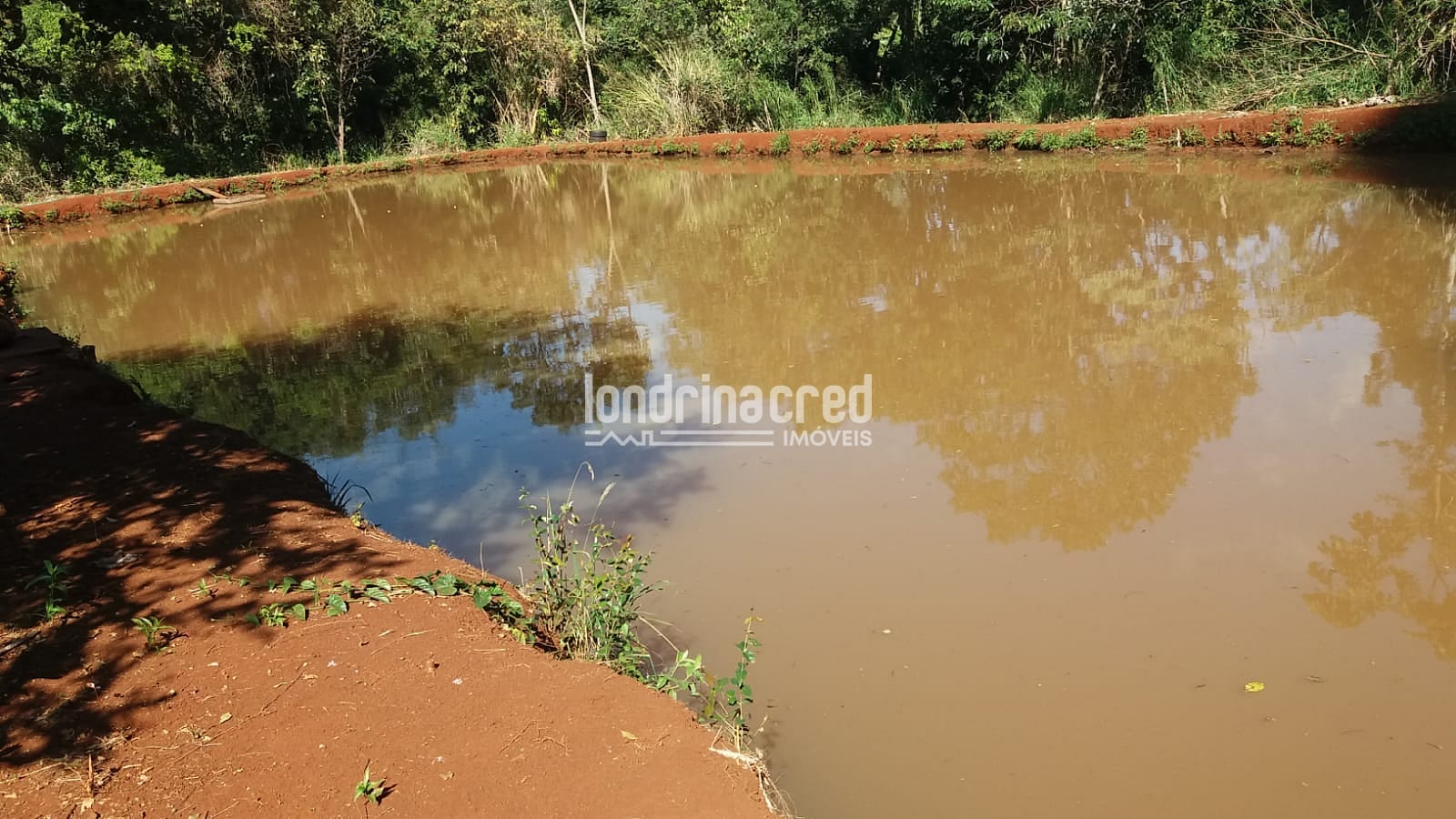 Sítio, 1 quarto, 5800 m² - Foto 6