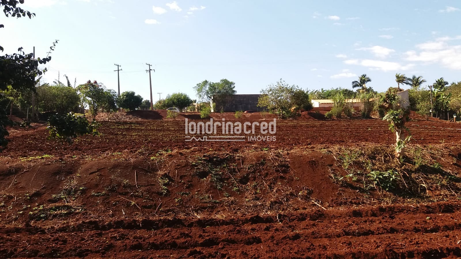 Sítio, 1 quarto, 5800 m² - Foto 5