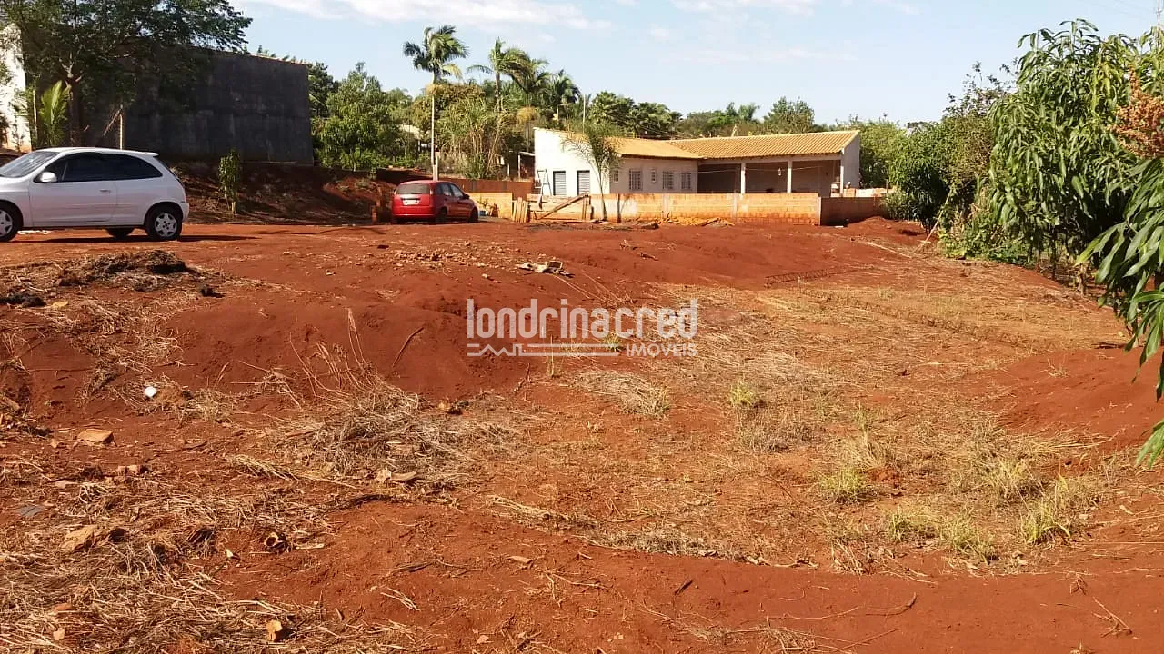 Sítio, 1 quarto, 5800 m² - Foto 2