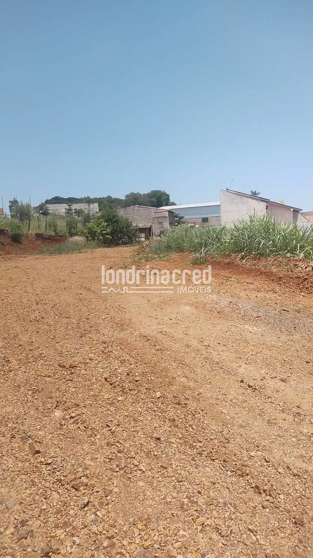 Sítio, 1 quarto, 2200 m² - Foto 3