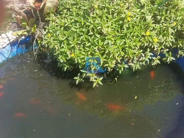 Chácara com 1000m² 7 quartos e 3 banheiros, à venda, no bairro Real Parque Dom Pedro I em Itatiba