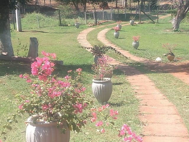 Foto do Chácara - Chácara à venda 3 Quartos, 24200M², Centro, Ibiporã - PR | Londrina Cred Imóveis