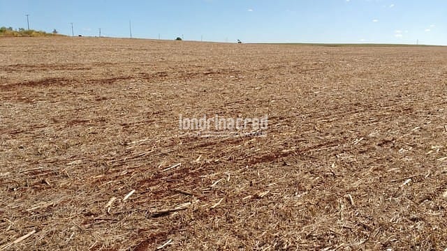 Sítio, 1 quarto, 7 hectares - Foto 1