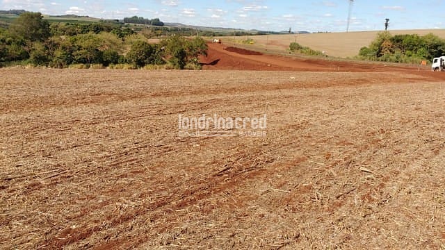 Sítio, 1 quarto, 7 hectares - Foto 2