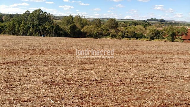 Sítio, 1 quarto, 7 hectares - Foto 4