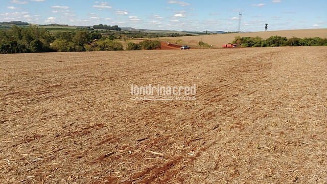 Sítio, 1 quarto, 7 hectares - Foto 5