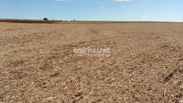 Sítio, 1 quarto, 7 hectares - Foto 3