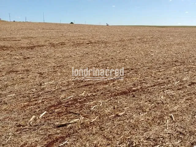Chácara com 72600m², à venda, no bairro Centro em Cornélio Procópio