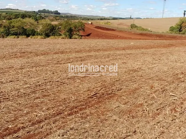 Chácara com 72600m², à venda, no bairro Centro em Cornélio Procópio