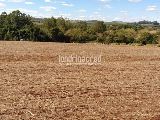 Chácara com 72600m², à venda, no bairro Centro em Cornélio Procópio