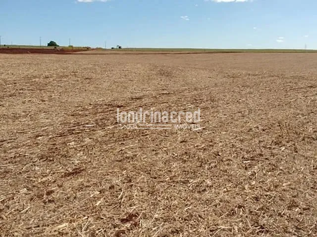 Chácara com 72600m², à venda, no bairro Centro em Cornélio Procópio