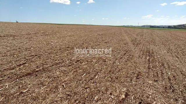 Sítio, 1 quarto, 7 hectares - Foto 6