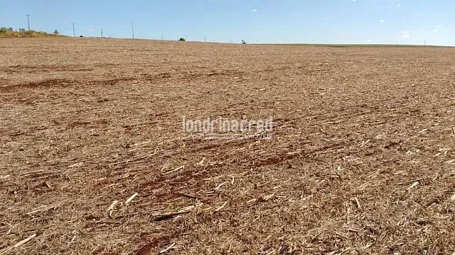 Sítio, 1 quarto, 7 hectares - Foto 1