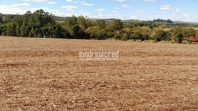 Sítio, 1 quarto, 7 hectares - Foto 4