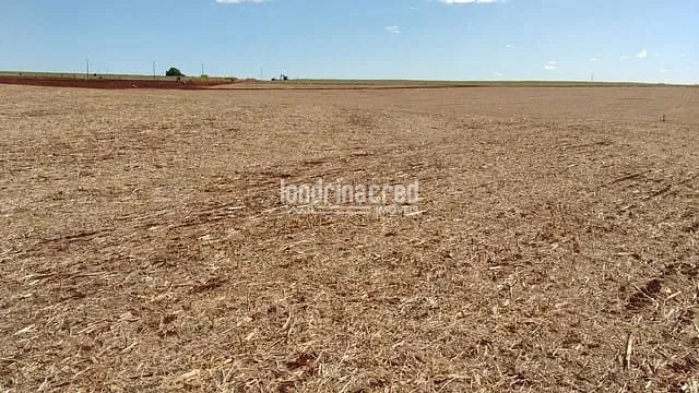 Sítio, 1 quarto, 7 hectares - Foto 3