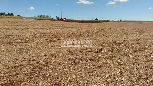Sítio, 1 quarto, 7 hectares - Foto 7