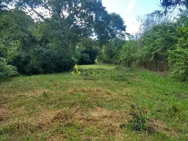 Chácara com 66000m², à venda, no bairro Cataguá em Taubaté