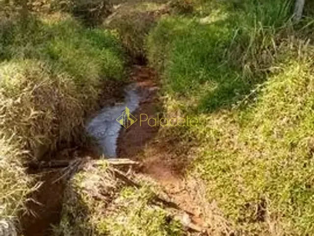 Chácara com 66000m², à venda, no bairro Cataguá em Taubaté