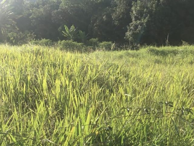 Chácara com 2300m², à venda, no bairro Zona Rural em São Luiz Do Paraitinga