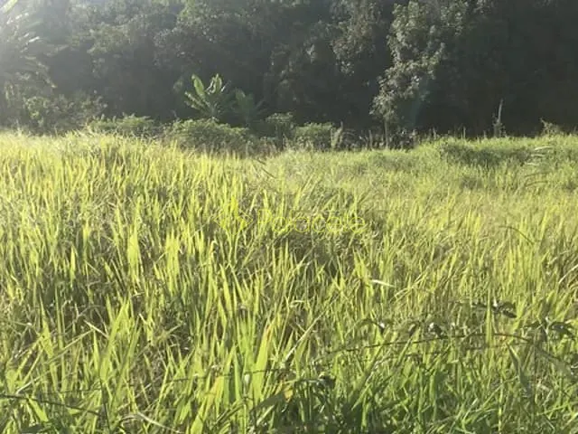 Chácara com 2300m², à venda, no bairro Zona Rural em São Luiz Do Paraitinga