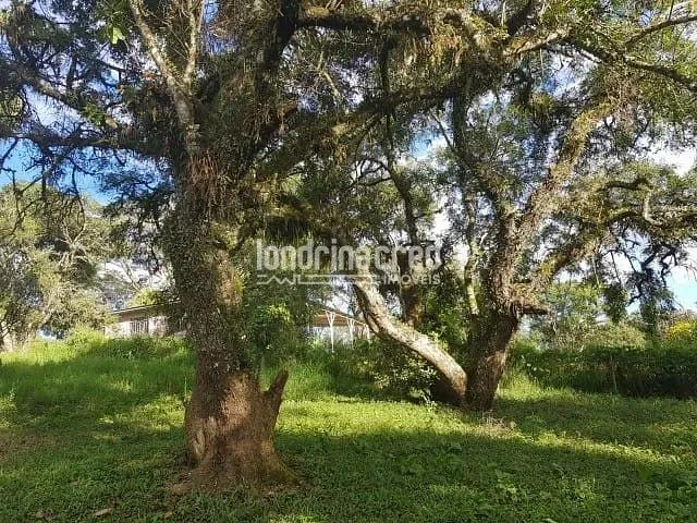 Chácara à venda, no bairro Zona Rural em Piraquara