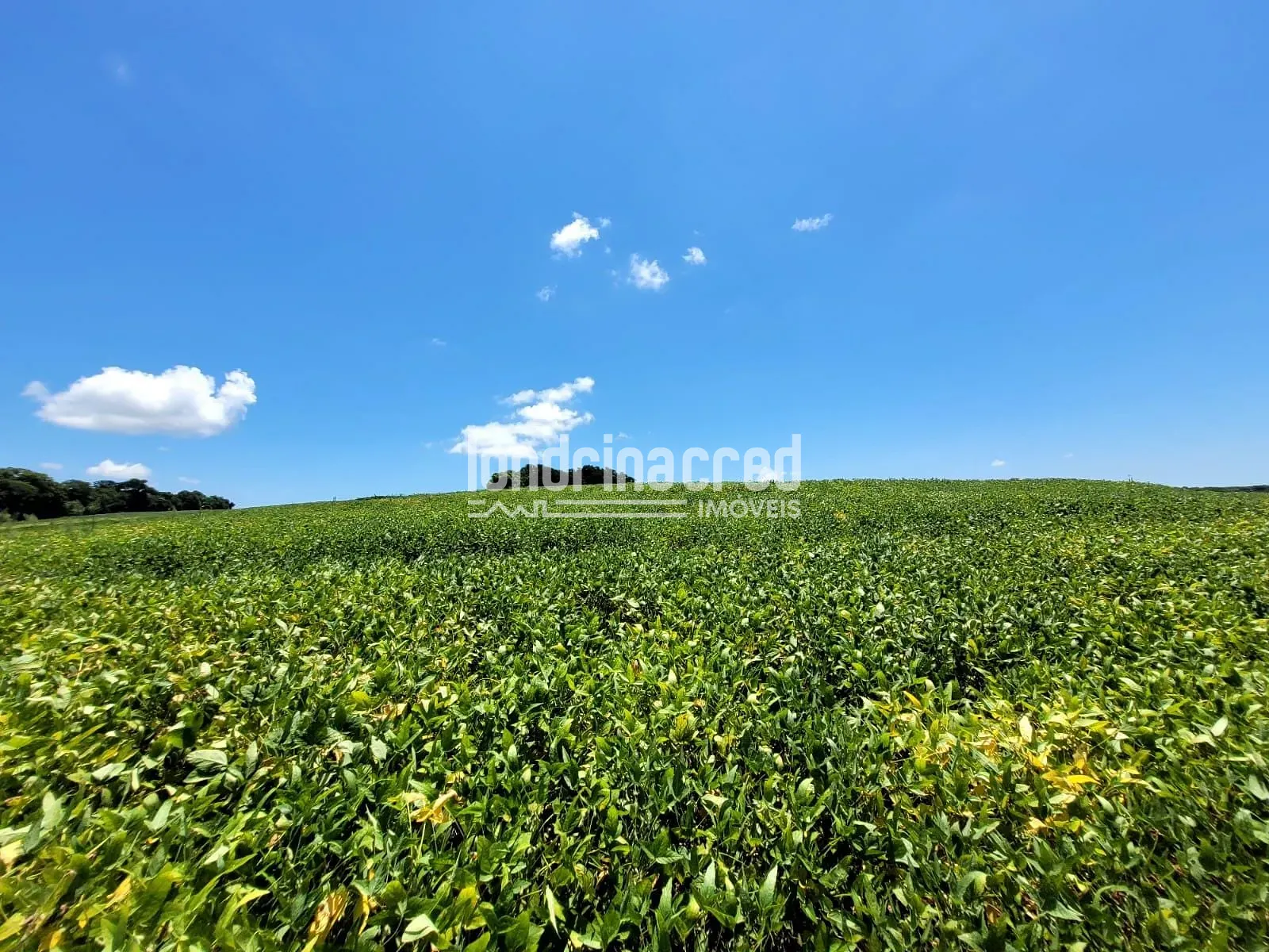 Sítio, 1 quarto, 17 hectares - Foto 3