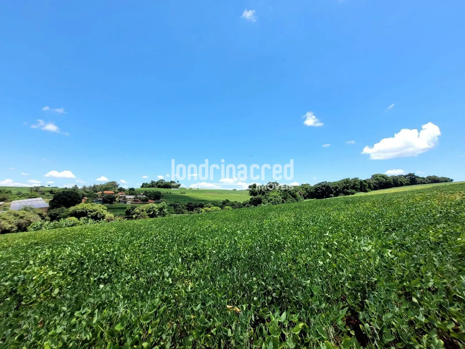 Sítio, 1 quarto, 17 hectares - Foto 4