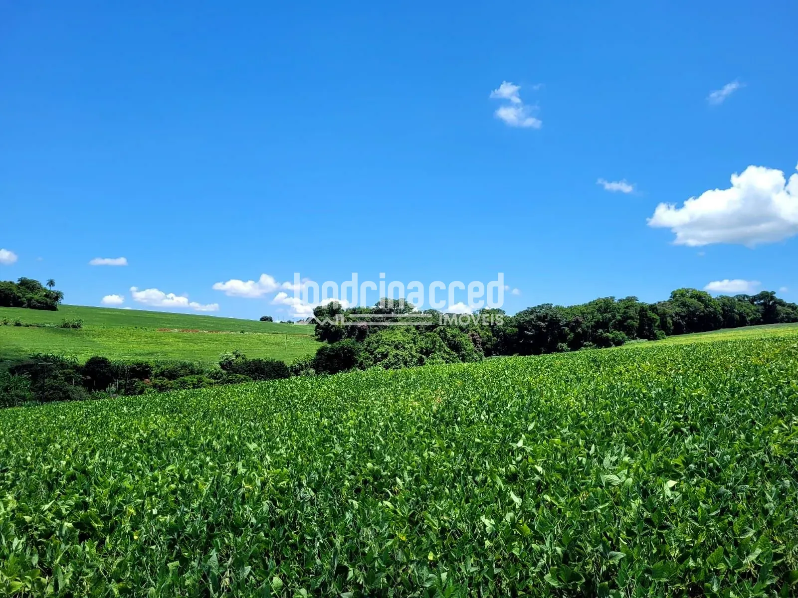 Sítio, 1 quarto, 17 hectares - Foto 10