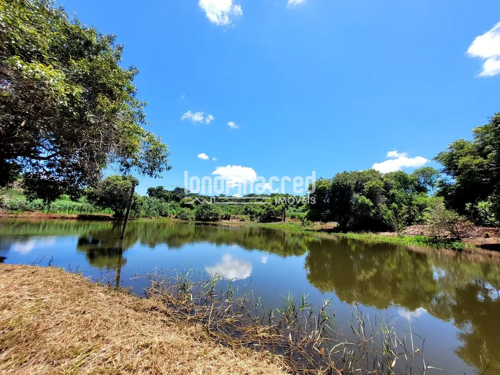 Sítio, 1 quarto, 17 hectares - Foto 11
