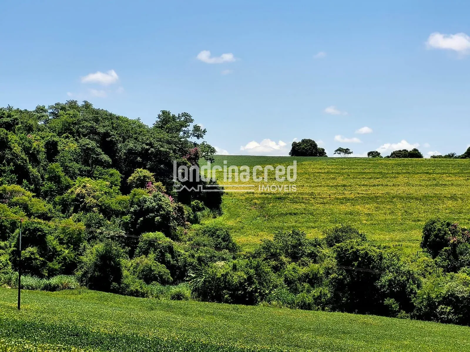 Sítio, 1 quarto, 17 hectares - Foto 12
