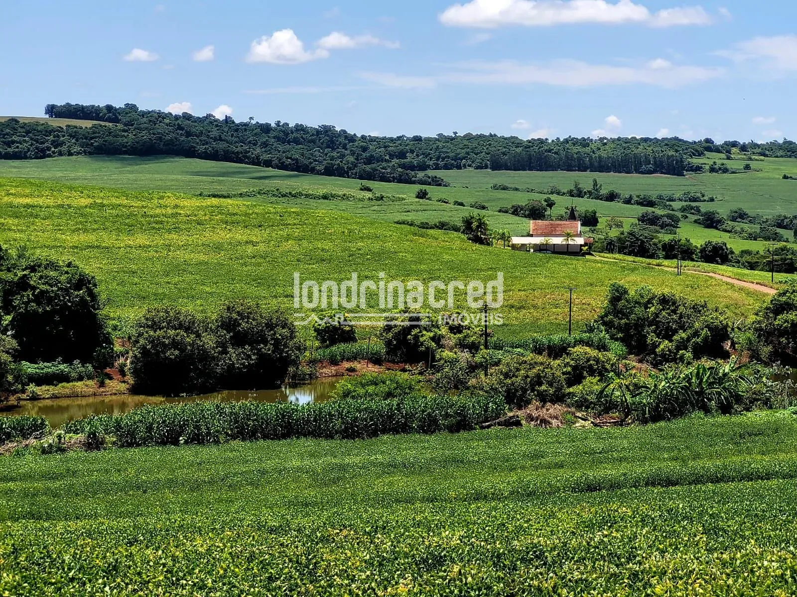 Sítio, 1 quarto, 17 hectares - Foto 14