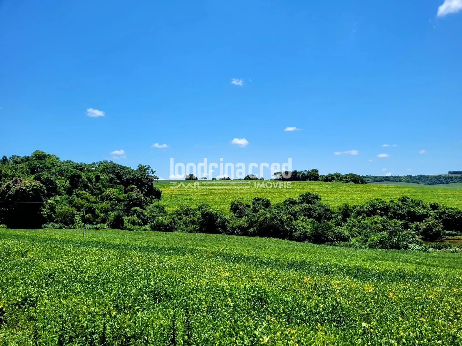 Sítio, 1 quarto, 17 hectares - Foto 15