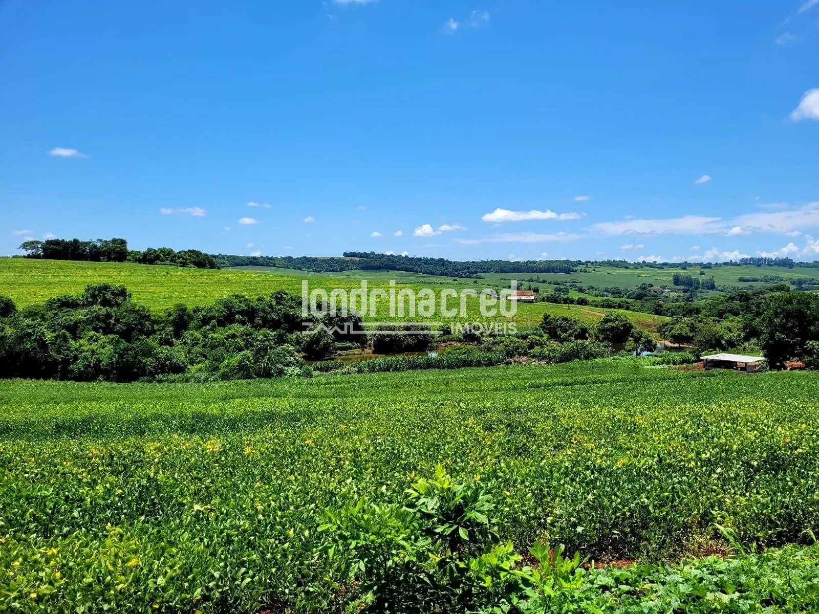 Sítio, 1 quarto, 17 hectares - Foto 16