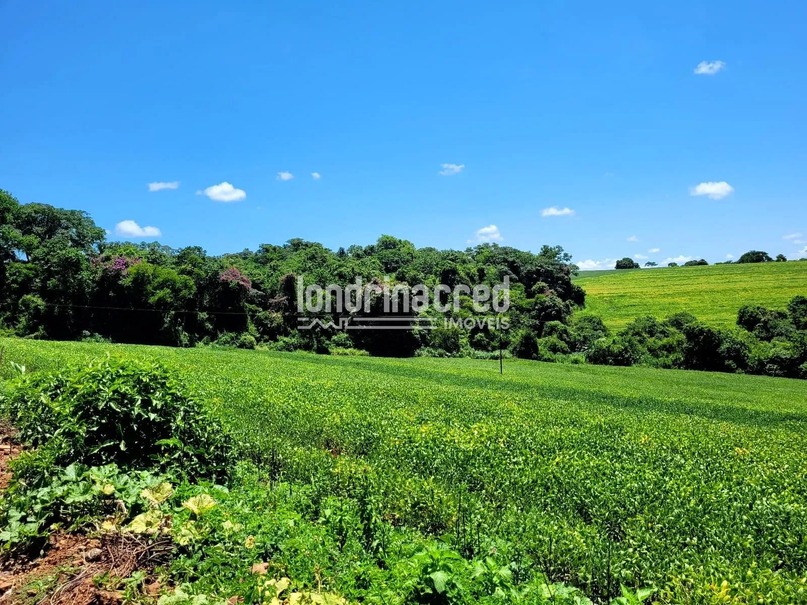 Sítio, 1 quarto, 17 hectares - Foto 17