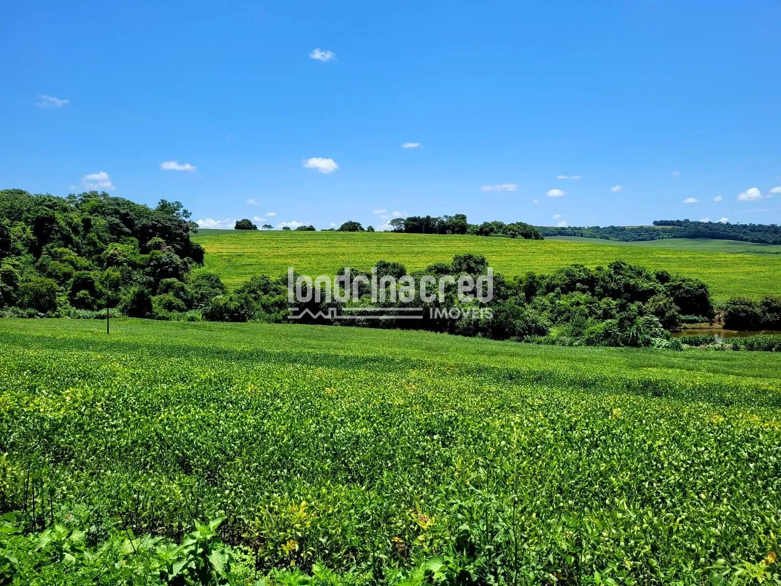 Sítio, 1 quarto, 17 hectares - Foto 18