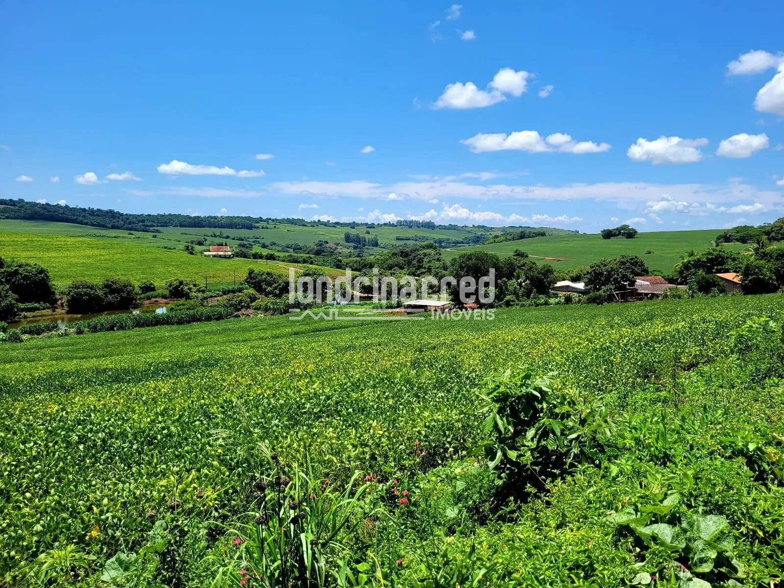 Sítio, 1 quarto, 17 hectares - Foto 19