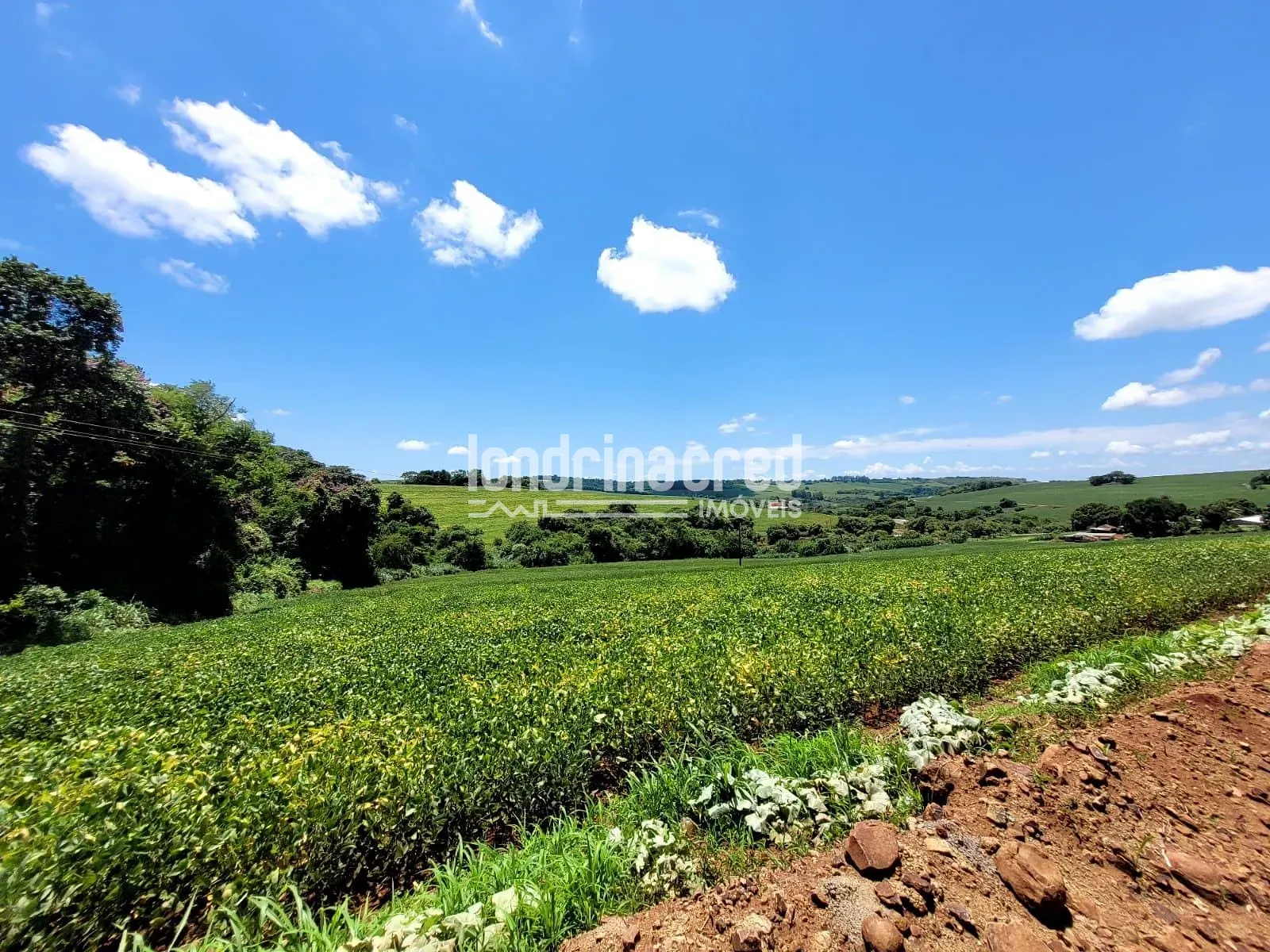 Sítio, 1 quarto, 17 hectares - Foto 20