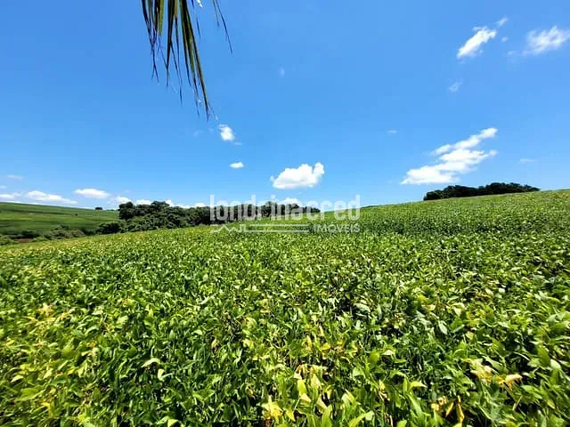 Chácara com 166980m², à venda, no bairro Warta em Londrina