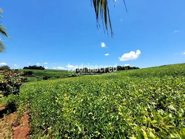 Chácara com 166980m², à venda, no bairro Warta em Londrina